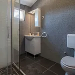 Mira *
